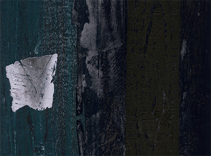 White Moth